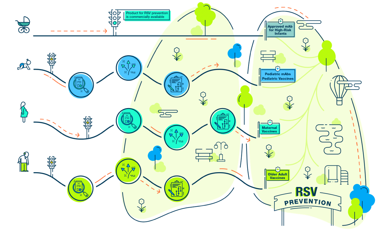 Navigating The Road To RSV Prevention Avalere   Infographic Desktop 